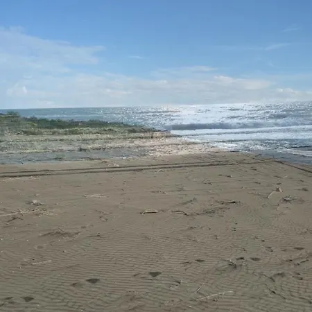 Rent Beach