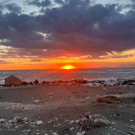 Rent Beach